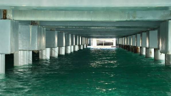 Shimoni Jetty 1